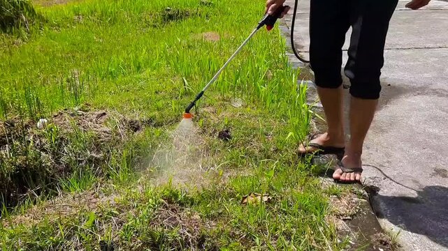 Man spraying herbicide on roadside grass for weed control, environmental maintenance concept