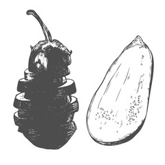 Hand drawn set of eggplant. Retro sketches isolated. Vintage collection. Linear graphic design.