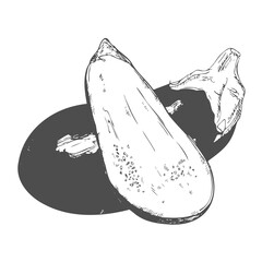 Hand drawn set of eggplant. Retro sketches isolated. Vintage collection. Linear graphic design.