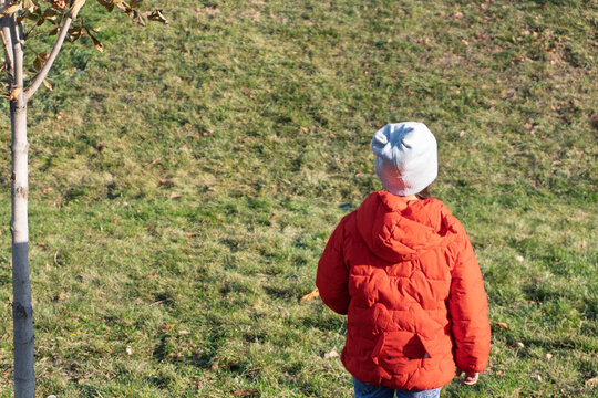 A young child wearing a red jacket and gray hat stands on a grassy field, facing away from the camera. A small tree is visible on the left side of the image.