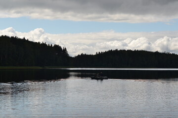 beautiful landscape of a lake in the forest