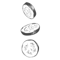 Sliced eggplant hand drawn ink sketch isolated on white background