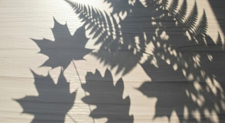 Dreamy shadows of fern and maple leaves create a calming, natural pattern on wood, perfect for adding a touch of nature to your designs with soft light