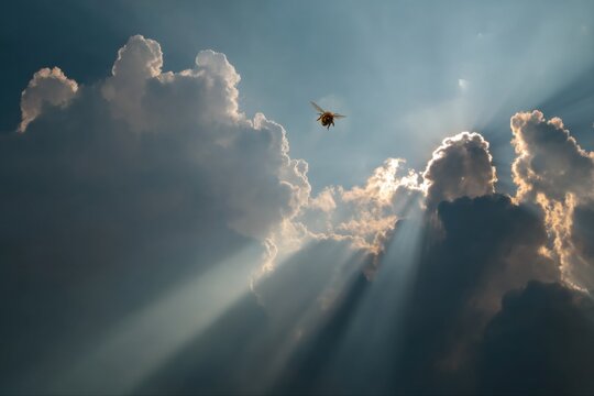 golden bee flying through sunlit clouds - Powered by Adobe