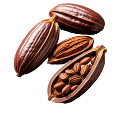 Cacao pods, whole and open, revealing beans, on a dark background