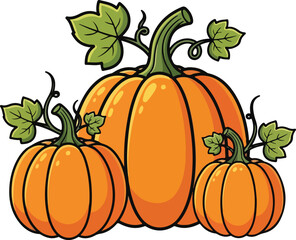 Three orange pumpkins with green leaves isolated on transparent background