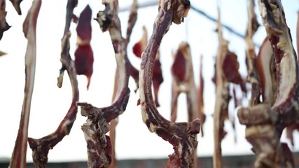 Cured Meat and Bacon Strips Drying in Food Processing Facility