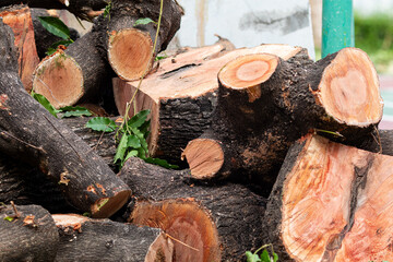 Close-up of freshly cut wooden logs stacked together, showing natural texture, wood grain, and...