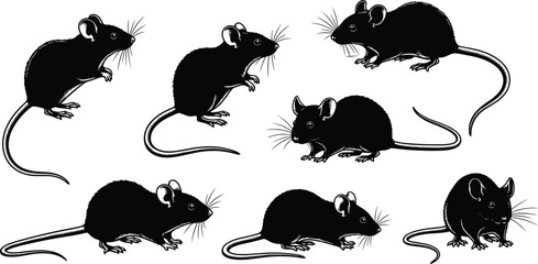 Mouse silhouettes in various standing and crouching poses with long tails, rodent wildlife set, black figures on white background