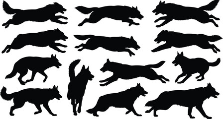 Running wolf silhouettes in various sprinting, leaping, stalking and standing poses, wild canine set with dynamic motion on white background​