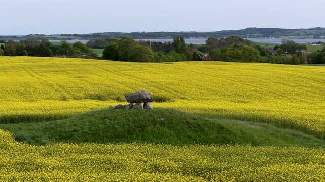 A solitary dolmen burial mound rises from a bright yellow field in the Danish countryside, captured in a smooth aerial orbit that highlights the ancient structure’s prominence in the landscape