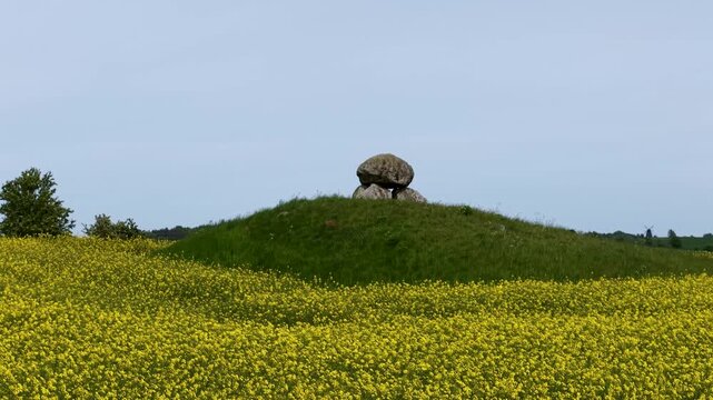 Aerial view of a burial mound with a large boulder atop, rising above blooming yellow rapeseed fields under a pale sky