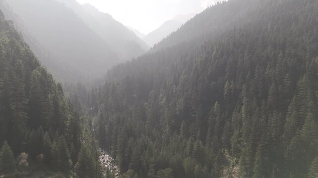 Layered green mountains in Parvati Valley, Kasol covered with dense pine and deodar trees, with soft mist drifting between the ridges, creating a serene and atmospheric Himalayan landscape.