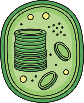 A bold, simplified cartoon-style vector diagram of a chloroplast, emphasizing the stacked thylakoids (granum) within the green oval structure with a black outline.