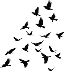 Flock of flying birds silhouettes