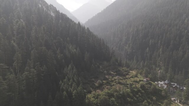 Layered green mountains in Parvati Valley, Kasol covered with dense pine and deodar trees, with soft mist drifting between the ridges, creating a serene and atmospheric Himalayan landscape.