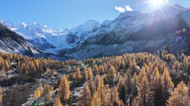 Golden autumn trees meet snowy alpine mountains under bright sun flares in Engadin Valley. Switzerland