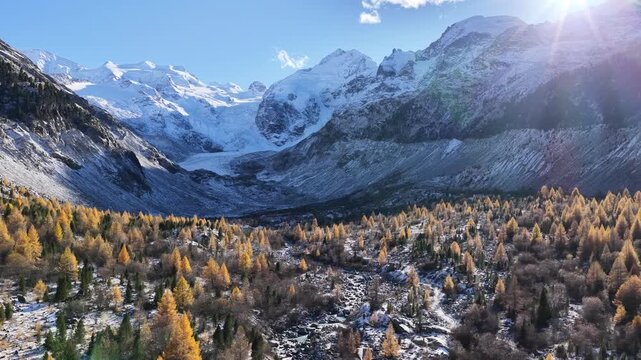 Golden larch trees spread below glacier-covered peaks in the Engadin valley. Switzerland