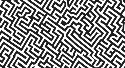 A complex black and white maze pattern with intricate pathways and dead ends, creating a challenging visual puzzle.