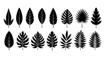 Iridescent Leaf Silhouettes Arrayed on Black