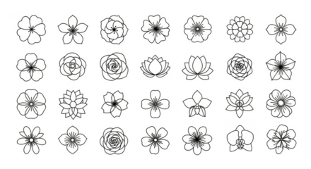 Twentyeight shimmering blossoms arranged intricately