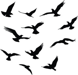 Set of flying bird silhouettes