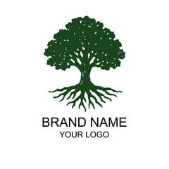 Obraz premium Oak tree logo design vector.eps