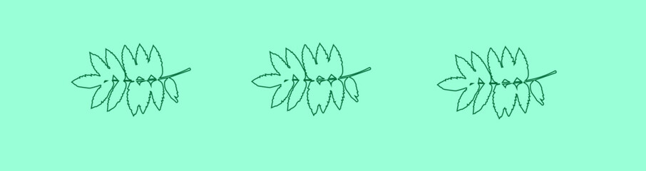 twigs with leaves outline on a light background,