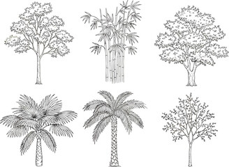 Obraz premium Collection of six distinct hand drawn black and white sketches of various trees and palm trees