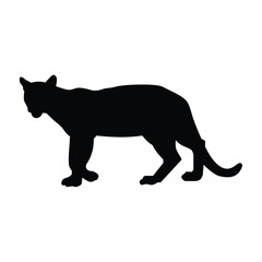 Mountain lion silhouette