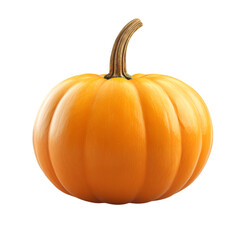 Obraz premium pumpkin isolated on white background