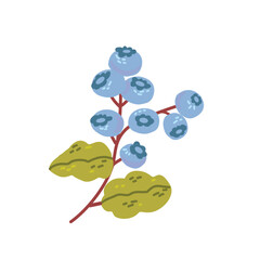 Flat vector cute blueberry, illustration of blueberry with stem and leaves for sticker or illustration product 