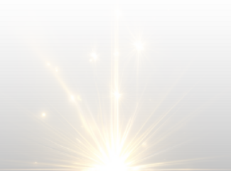 Golden sun rays burst across the frame. Soft lens flare highlights shimmer gently. Tiny sparkles float across the glowing scene. PNG