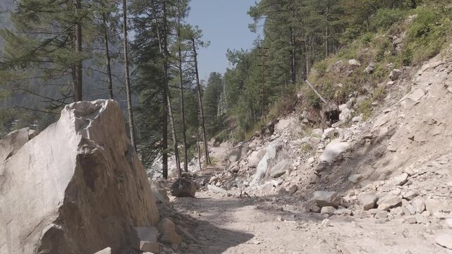 A scenic trail from Choj village to Kasol, showing pine and deodar trees, rocky terrain, and the Parvati River flowing beside it, with distant Himalayan mountains under soft daylight.
