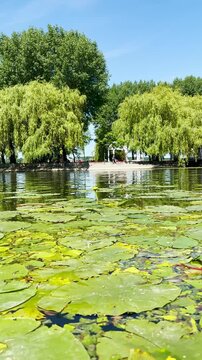 A peaceful walk unfolds along the Ternopil Pond in Ternopil, Ukraine, where calm waters and lush surroundings create a serene urban retreat.
