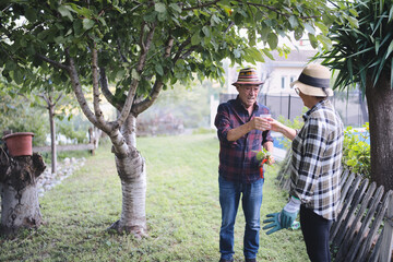 Senior couple toasting each other with drinks in a lush green garden after a day of gardening, celebrating their love and active retirement surrounded by nature