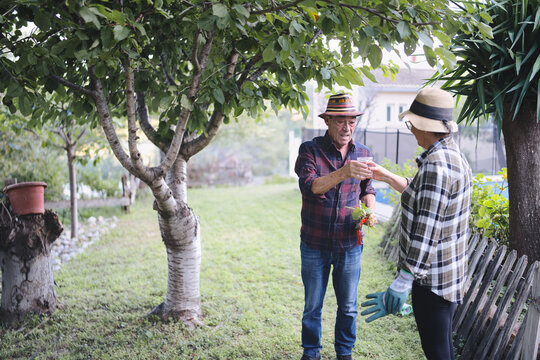 Senior couple toasting each other with drinks in a lush green garden after a day of gardening, celebrating their love and active retirement surrounded by nature