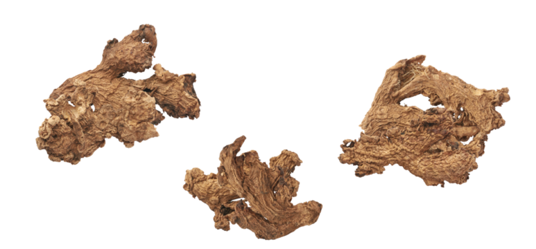 close-up photograph of three pieces of dried, brown medicinal root or herbal spice isolated against a pure transparent background.