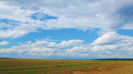 Fototapeta premium A Beautiful and Serene Cloudy Sky Gracefully Graces the Expansive Golden Fields in the Countryside