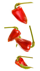 four bright red mini sweet peppers with long green stems floating and falling dynamically against a solid transparent background, studio photograph.