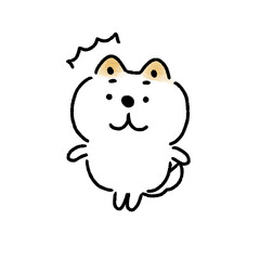 驚く白い柴犬