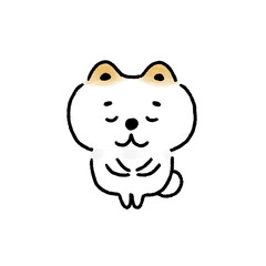 おじぎをする白い柴犬