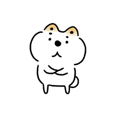 上を見て考える白い柴犬