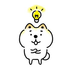 ひらめく白い柴犬