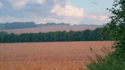 Fototapeta premium Beautiful and Scenic Rural Landscape Featuring Lush Fields, Trees, and Vast Skies Above