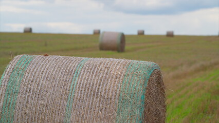 Obraz premium Golden Fields adorned with Hay Bales set against the backdrop of a Cloudy Days sky
