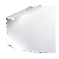 Torn white paper with curled edge, isolated against black background