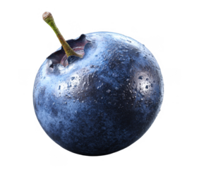 Close-up of a fresh blueberry with water droplets on its surface, highlighting its deep blue color and natural texture