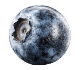 A detailed image of the moon with a transparent background highlighting its craters and surface textures
