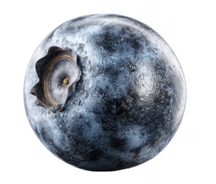 A detailed image of the moon with a transparent background highlighting its craters and surface textures